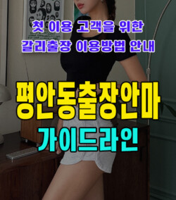 평안동출장안마