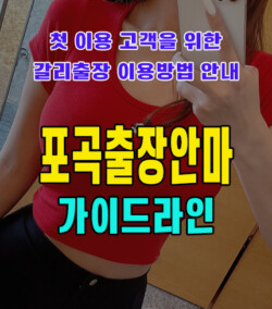 포곡출장안마