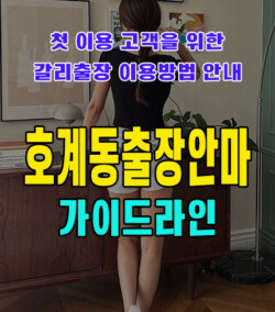 호계동출장안마