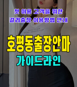 호평동출장안마