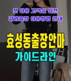 효성동출장안마