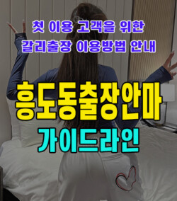 흥도동출장안마